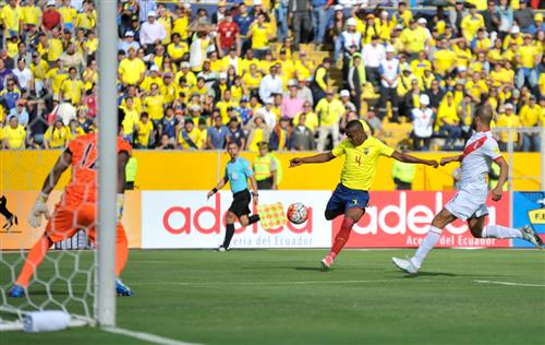 Next Bet Tips for Smarter Wagering